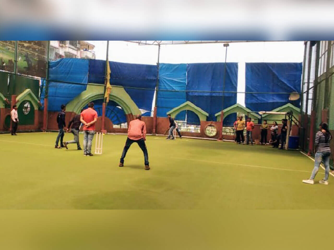 People playing cricket